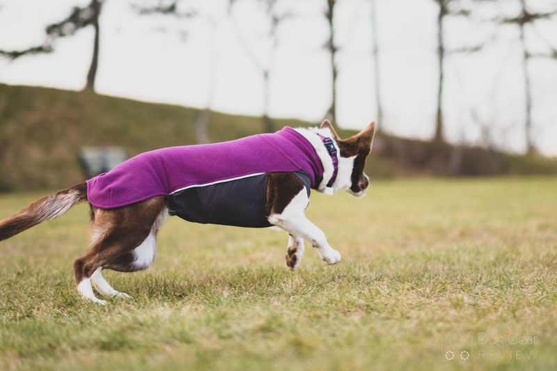 Pomppa JumppaPomppa Review | Dog Gear Review