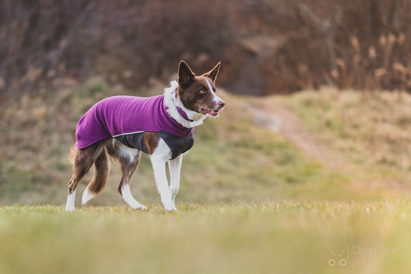 Pomppa JumppaPomppa Review | Dog Gear Review