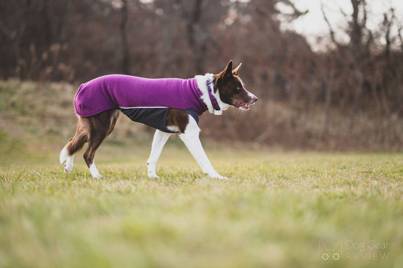 Pomppa JumppaPomppa Review | Dog Gear Review