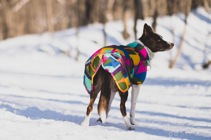 Anti static dog outlet jacket