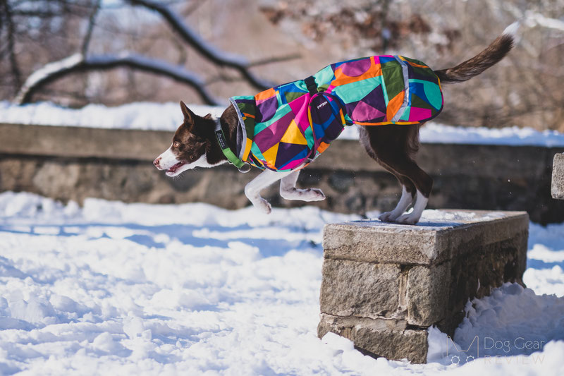 Pomppa KevytPomppa Review | Dog Gear Review