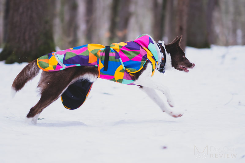 Pomppa KevytPomppa Review | Dog Gear Review