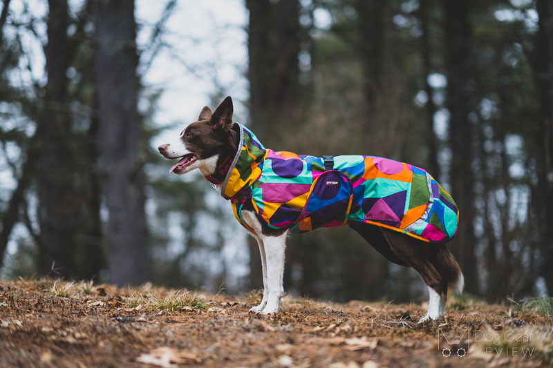 pomppa dog coats