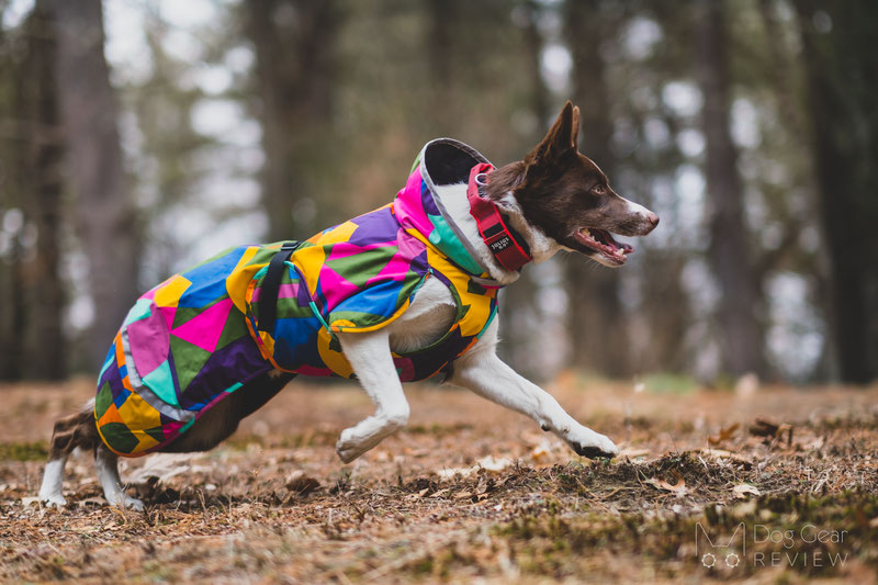 Pomppa KevytPomppa Review | Dog Gear Review