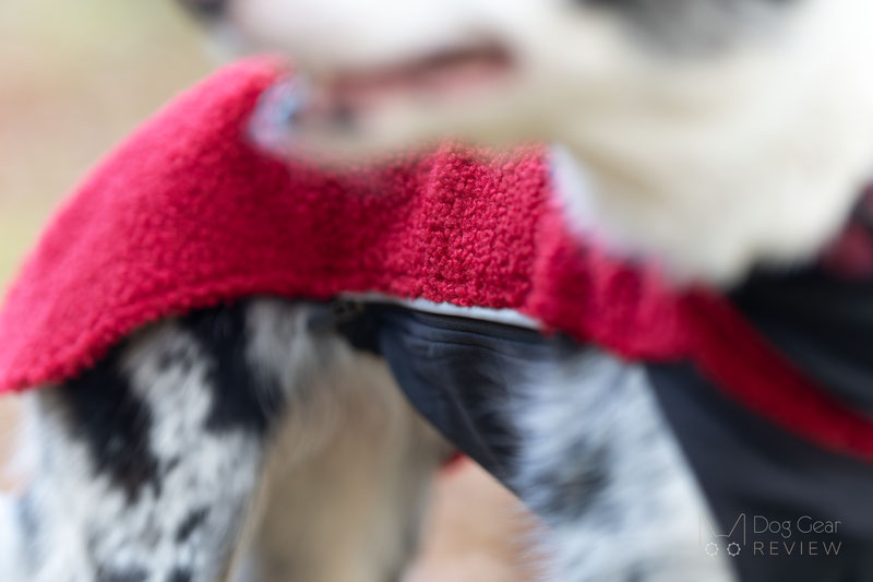 Pomppa PolarPomppa Review | Dog Gear Review
