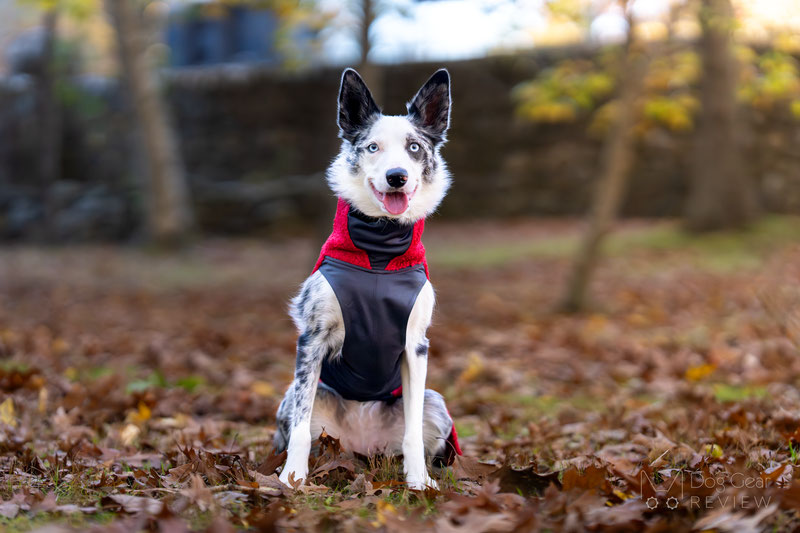 Pomppa PolarPomppa Review | Dog Gear Review