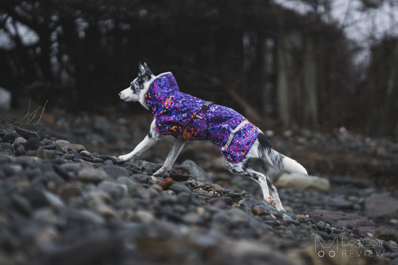 Pomppa SadePomppa Review | Dog Gear Review