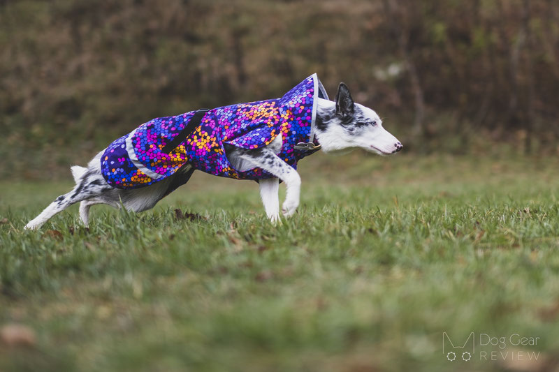 Pomppa SadePomppa Review | Dog Gear Review