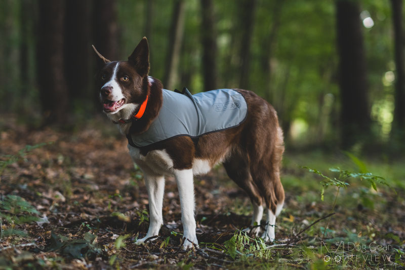 Proviz REFLECT360 Dog Coat Review | Dog Gear Review