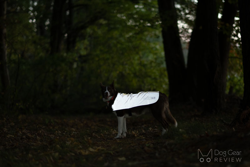 Proviz REFLECT360 Dog Coat Review | Dog Gear Review