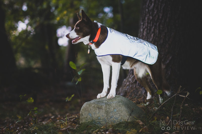 proviz dog jacket