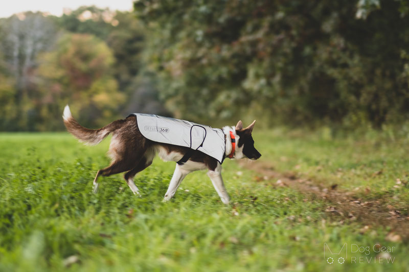 Proviz REFLECT360 Dog Coat Review | Dog Gear Review