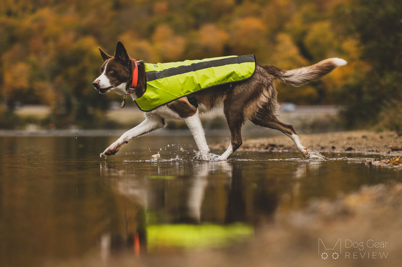 Proviz Hi Visibility Dog Coat Review | Dog Gear Review