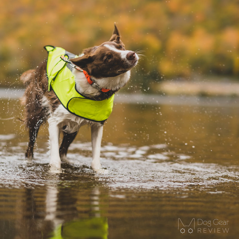 Proviz Hi Visibility Dog Coat Review | Dog Gear Review