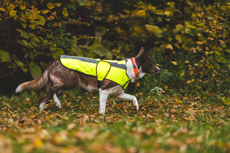 Proviz Hi Visibility Dog Coat Review | Dog Gear Review