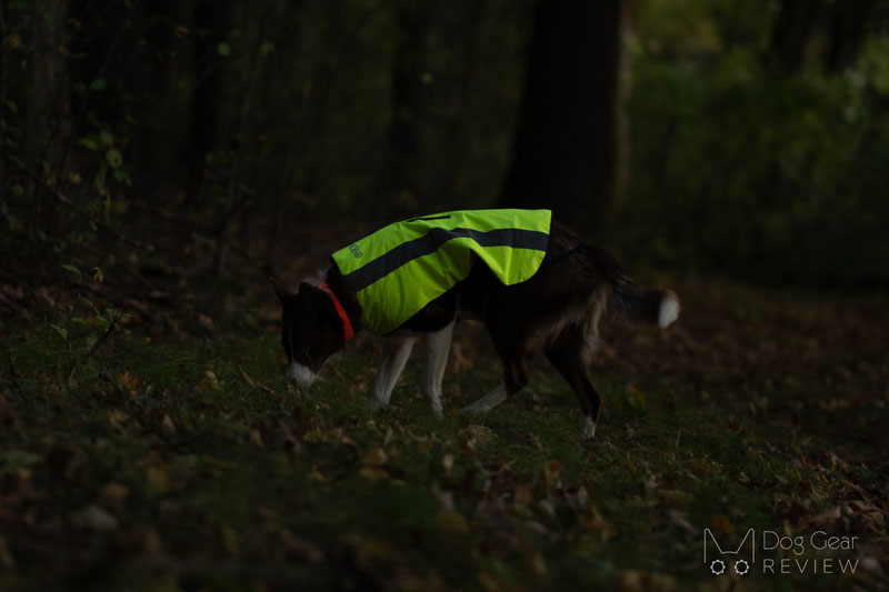 Proviz Hi Visibility Dog Coat Review | Dog Gear Review