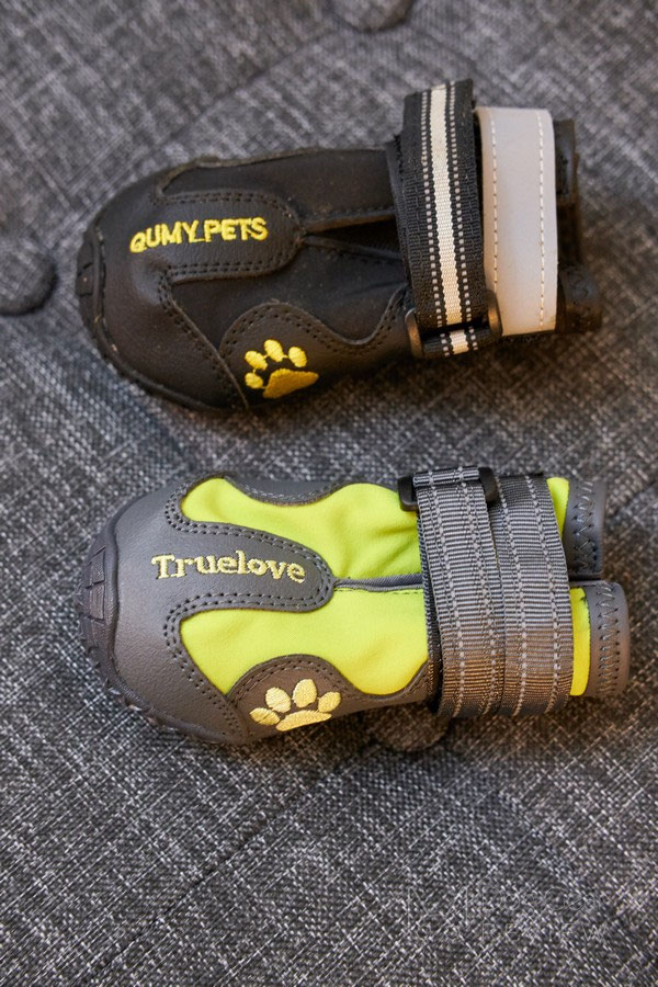QUMY Boots Review | Dog Gear Review