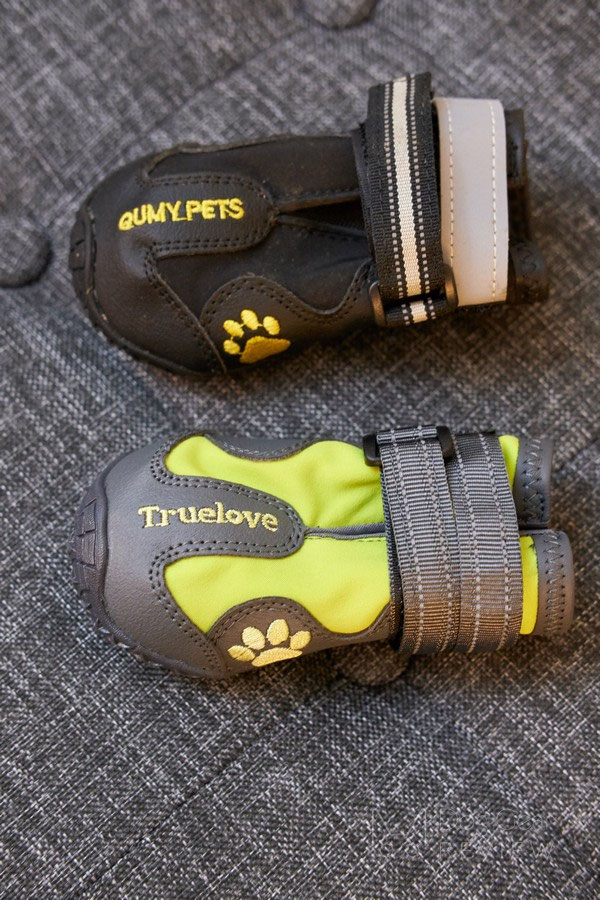 Qumy waterproof 2025 dog boots