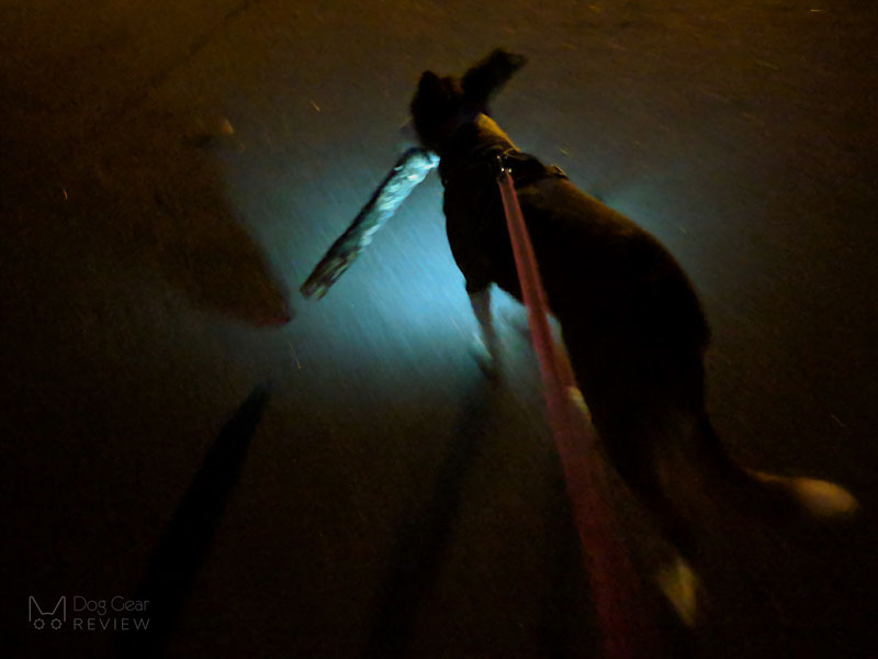 Rabbitgoo Harness with a Built-In LED Light - Review | Dog Gear Review