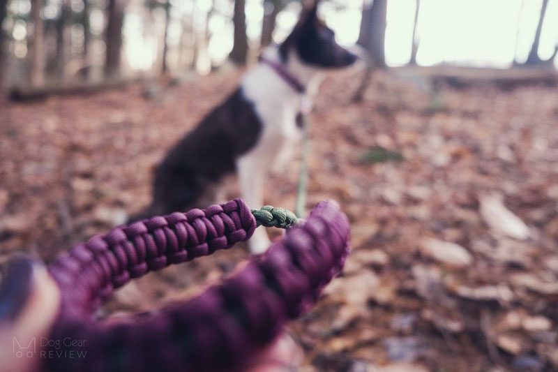 Paracord dog outlet collar & leash