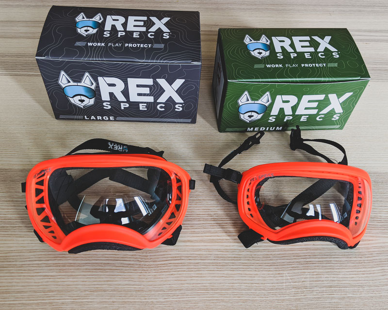 Rex Specs Goggles Review (V1 vs. V2) | Dog Gear Review