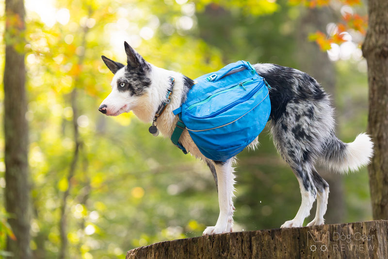 Ruffwear Approach Dog Backpack Review | Dog Gear Review