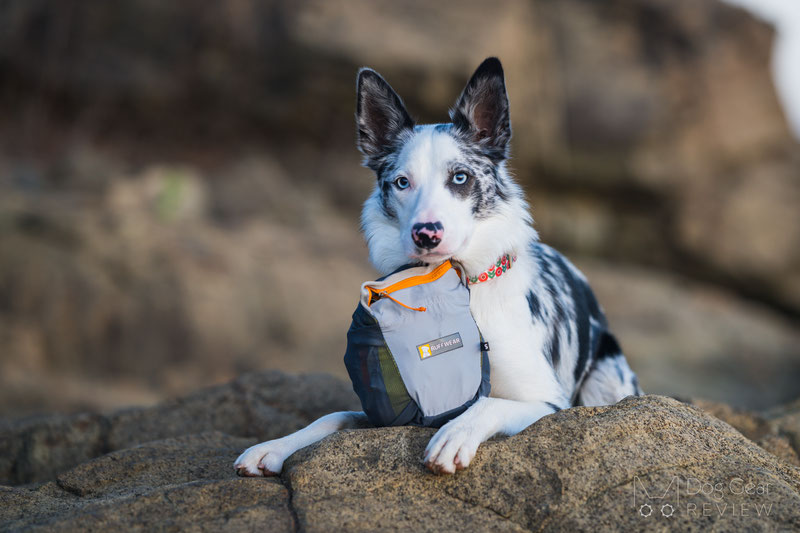 Ruffwear BackTrak Dog Evacuation Kit Review | Dog Gear Review