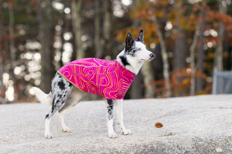 Ruffwear Climate Changer Fleece Review | Dog Gear Review