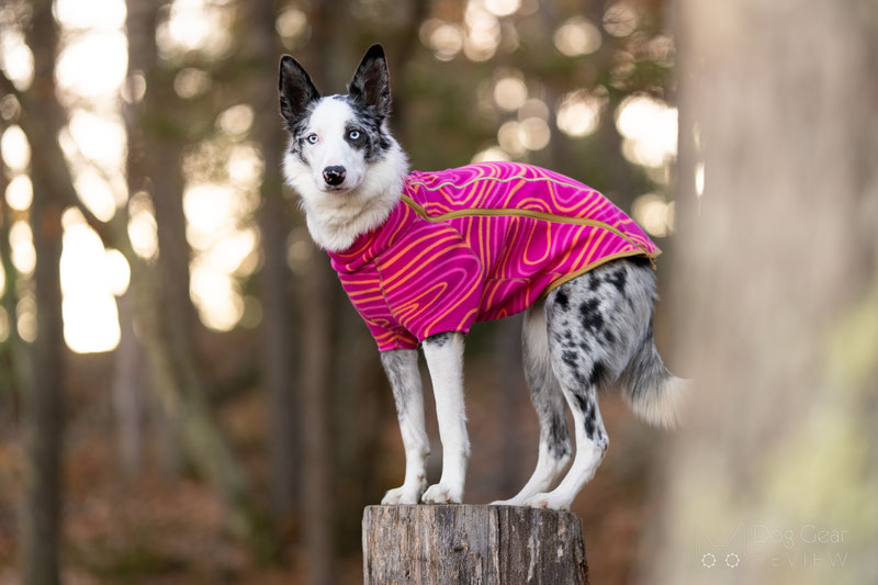 Ruffwear Climate Changer Fleece Review | Dog Gear Review