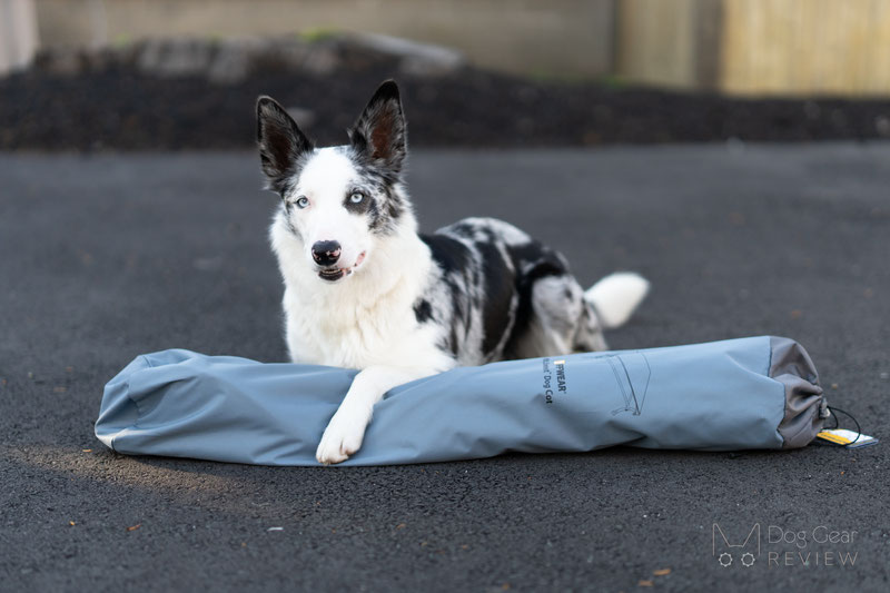  Ruffwear Mt. EverRest Dog Cot Review | Dog Gear Review