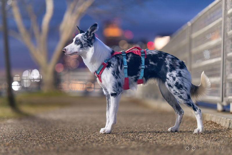 Ruffwear Flagline Harness - Salmon Pink