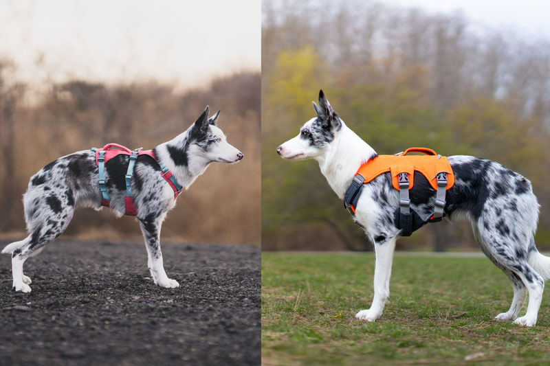 Ruffwear Flagline Dog Harness: Lightweight, Back Handle, Aust Dispatch -  Canine Spirit Australia