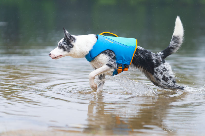 Float Coat™ Dog Life Jacket, Dog PFD