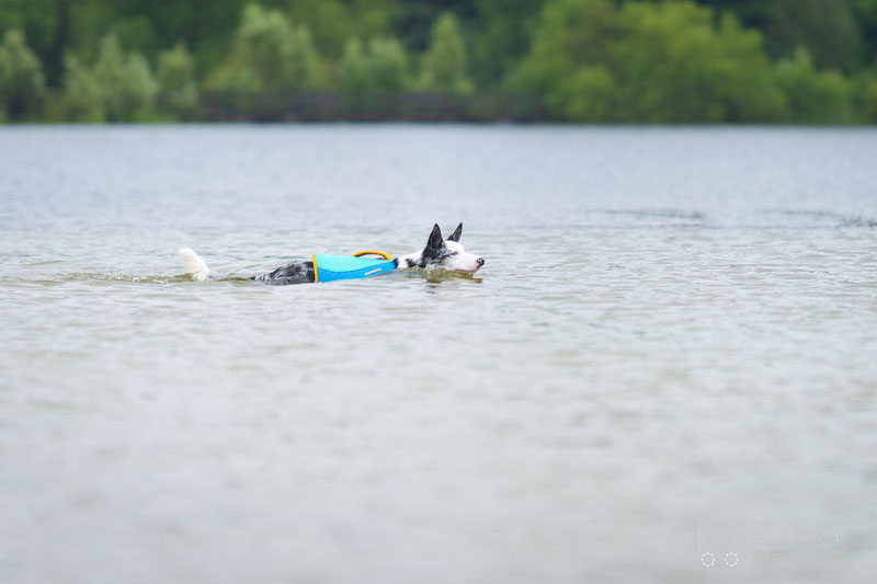 Ruffwear Float Coat Dog Life Jacket Review | Dog Gear Review