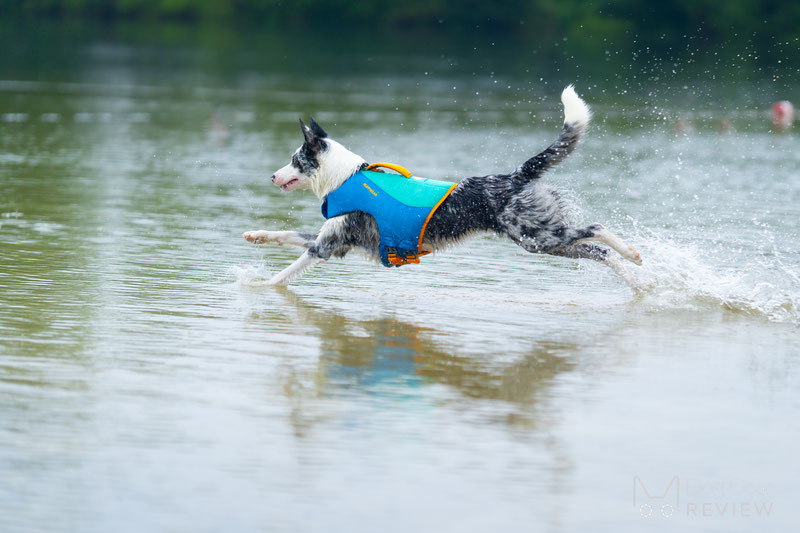 Ruffwear Float Coat Dog Life Jacket Review Dog Gear Review