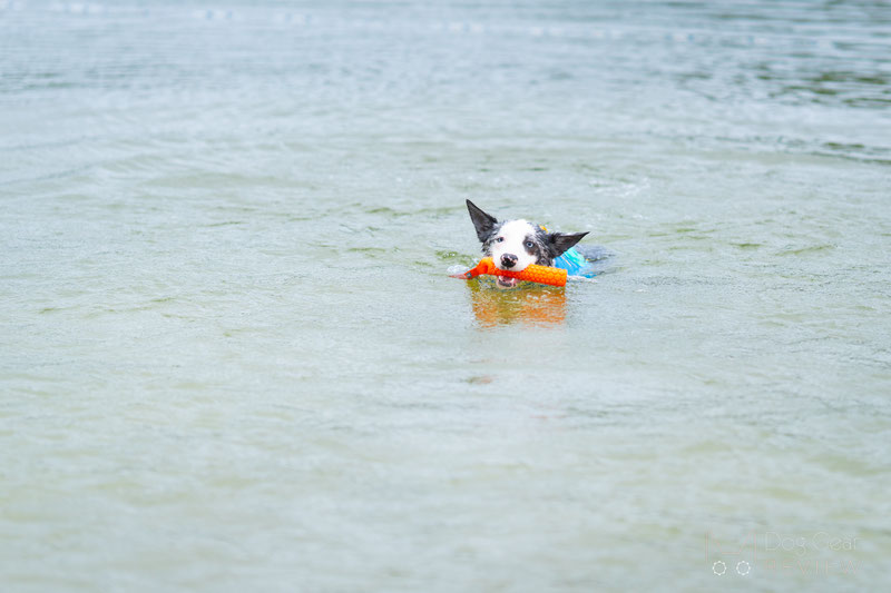 Ruffwear Float Coat Dog Life Jacket Review | Dog Gear Review