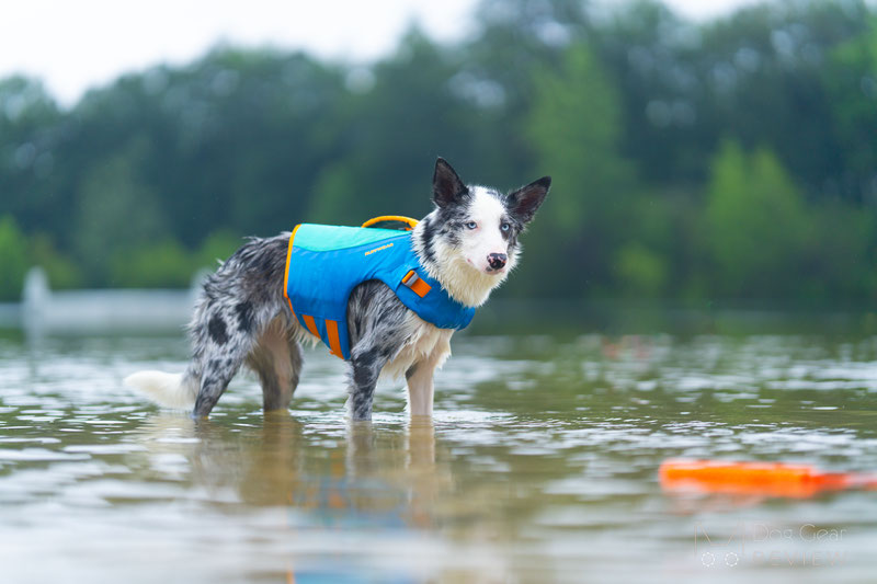 Ruffwear float best sale coat reviews