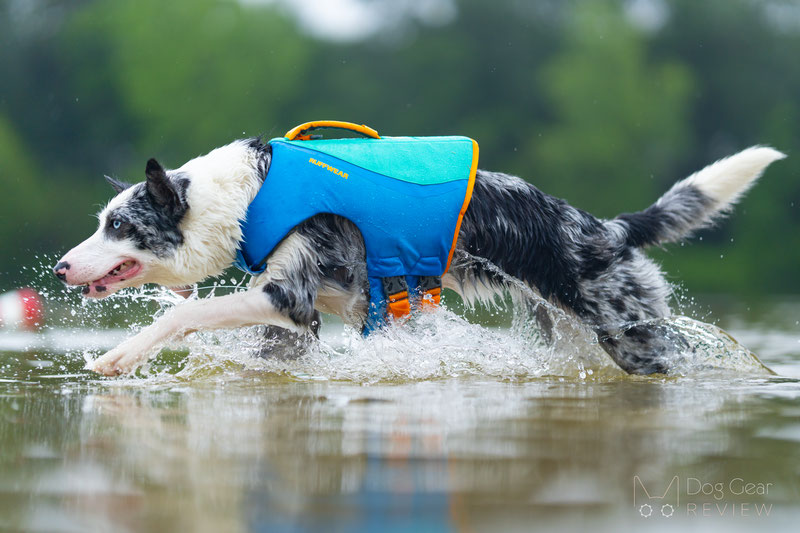 Ruffwear dog life outlet jacket