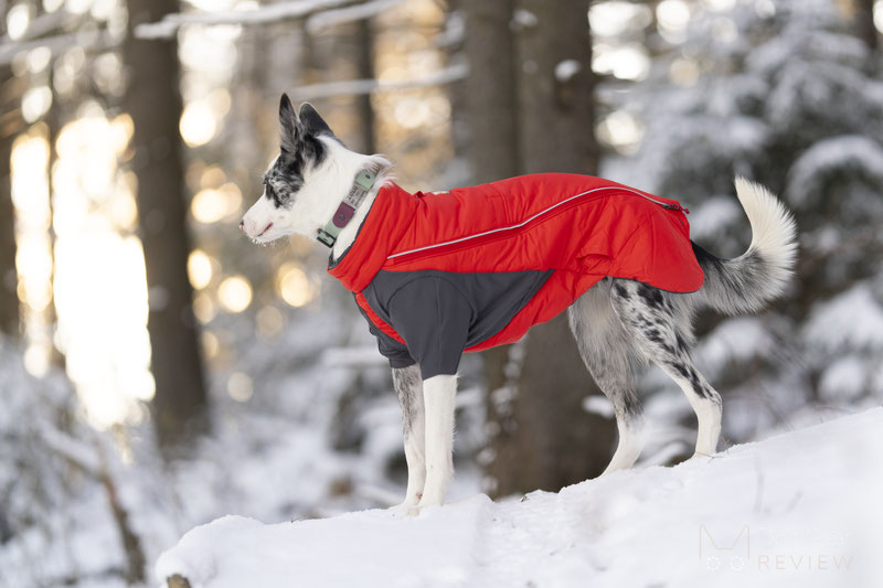 Ruffwear Furness Coat Review | Dog Gear Review