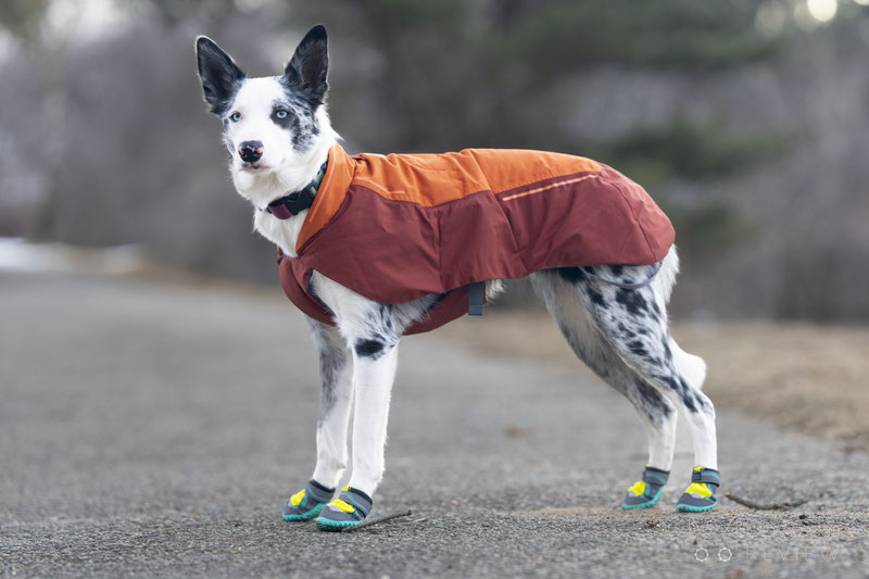 Ruffwear Grip Trex Boots Review | Dog Gear Review