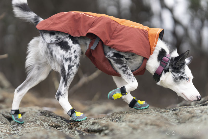 Ruffwear Grip Trex Boots Review | Dog Gear Review