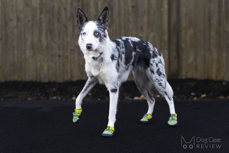 Ruffwear Hi & Light Trail Shoes Review | Dog Gear Review