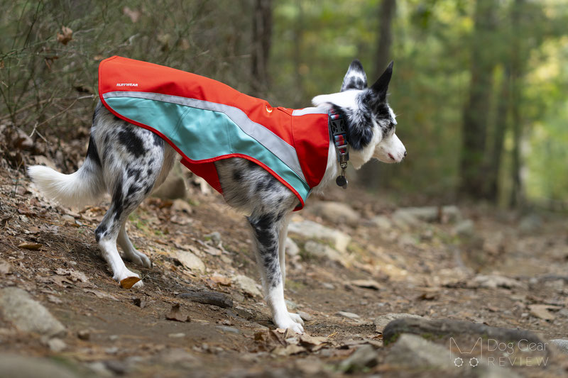 Ruffwear Lumenglow Hi-Vis Dog Jacket Review | Dog Gear Review
