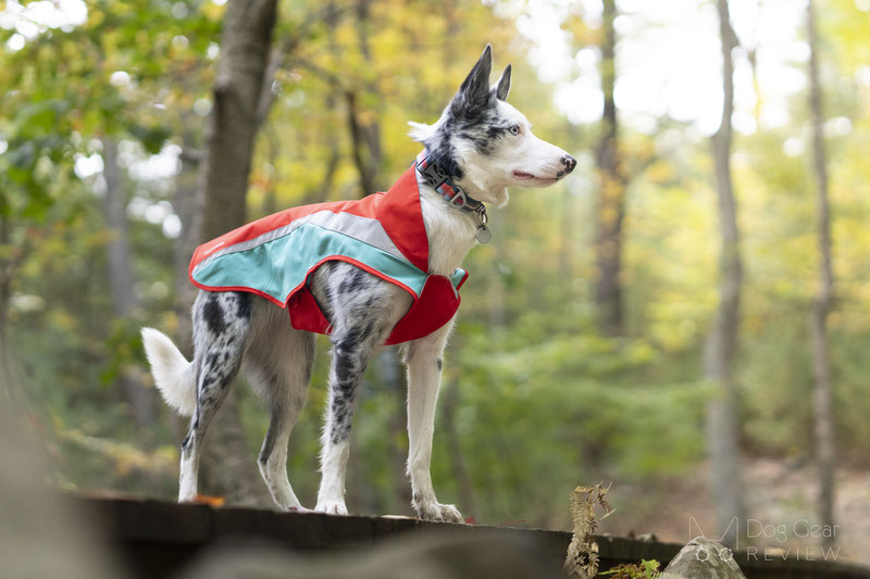 Ruffwear Lumenglow Hi-Vis Dog Jacket Review | Dog Gear Review