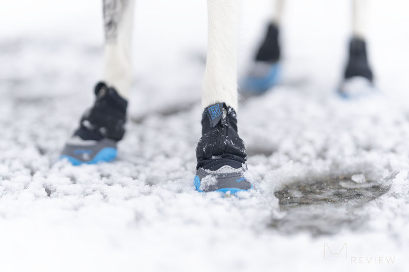 Ruffwear Polar Trex Dog Boots Review | Dog Gear Review