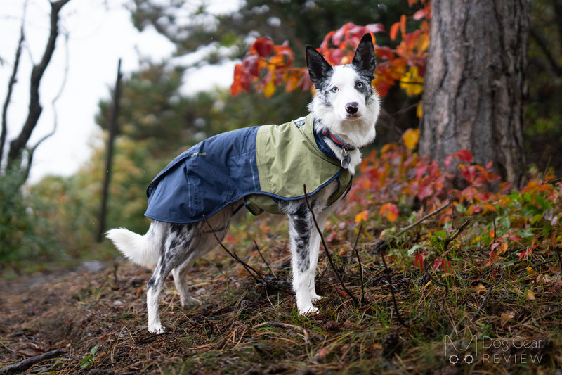 Ruffwear Sun Shower Raincoat Review | Dog Gear Review