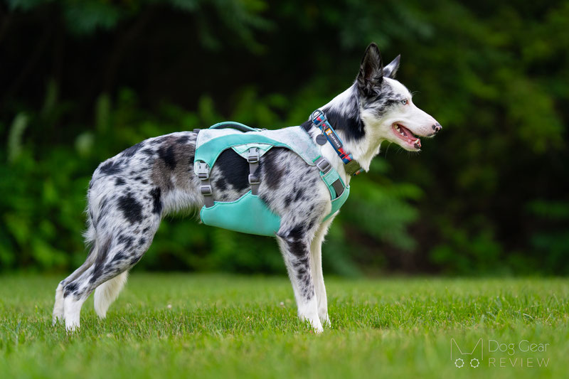 RuffWear Swamp Cooler™ Harness Graphite Grey, S