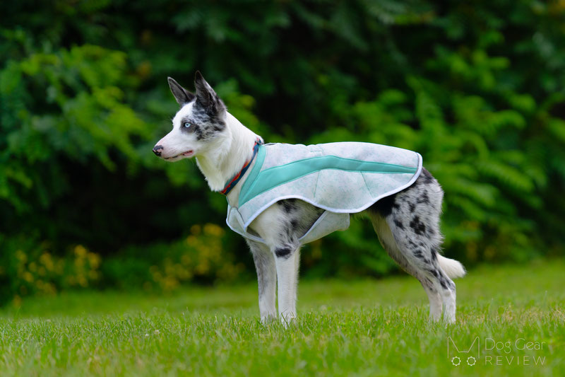 Ruffwear Swamp Cooler Dog Vest Review | Dog Gear Review