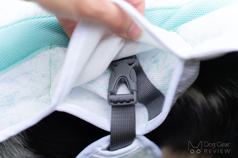 Ruffwear Swamp Cooler Dog Vest Review | Dog Gear Review