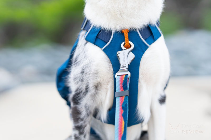 Ruffwear Switchbak Harness Review | Dog Gear Review